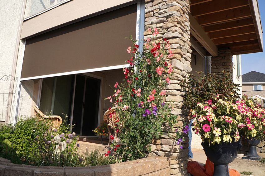 Everything You Need to Know About Solar Screens